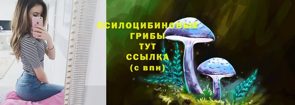 мет Бородино