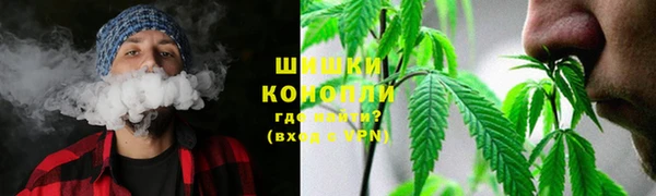 мет Бородино