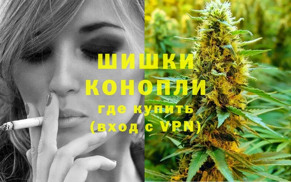 мет Бородино