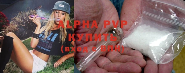 мет Бородино